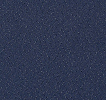 Ковролин Balta ITC Fortesse Fortesse 34 фото 1 | FLOORDEALER